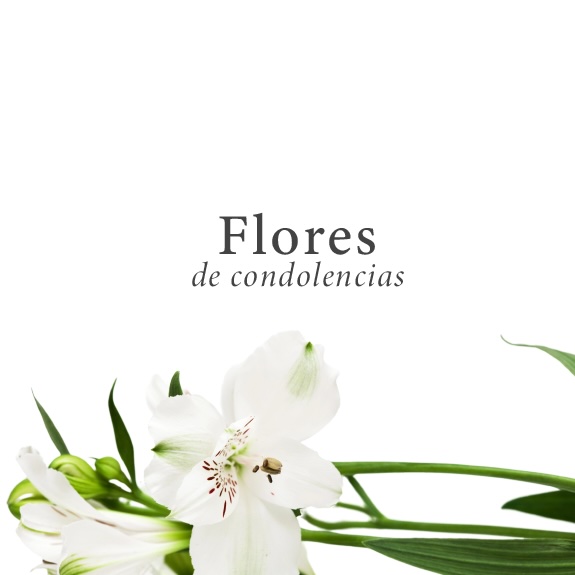 flores de condolencias